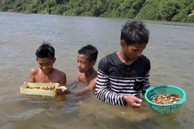 alt-livelihood1