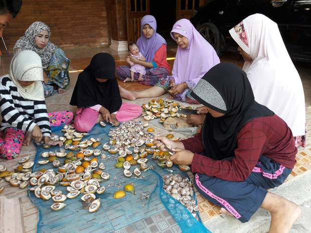 alt-livelihood5