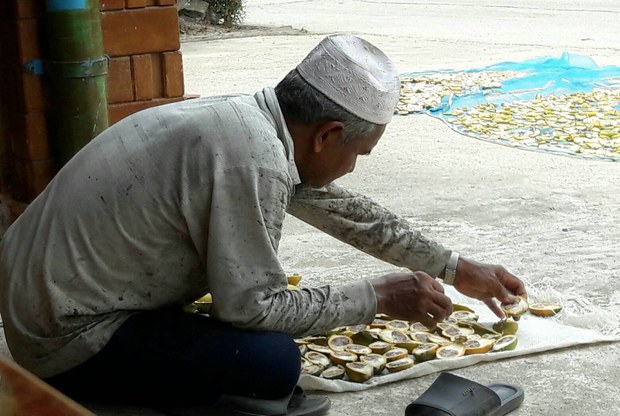 alt-livelihood6