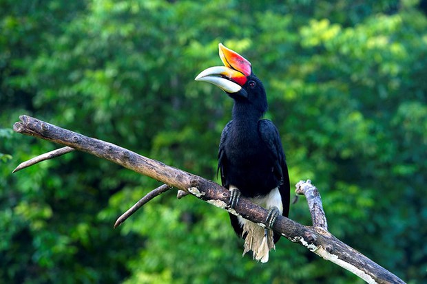 Narathiwat-Tourism-6.jpg