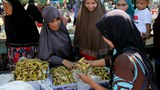 th-eid8.jpg