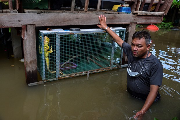 th-bangkok-floods5.jpg