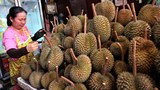 ผู้ส่งออกทุเรียนร้องรัฐช่วยแก้ปัญหา หลังจีนชะลอการนำเข้าช่วงโควิด-19 ระบาด