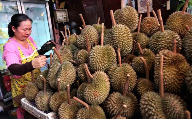 ผู้ส่งออกทุเรียนร้องรัฐช่วยแก้ปัญหา หลังจีนชะลอการนำเข้าช่วงโควิด-19 ระบาด
