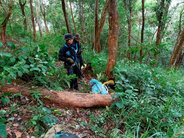 กองกำลังผาเมืองยิงแก๊งขนยาเสพติดตาย 15 ราย ที่ชายแดนเชียงใหม่ กองกำลังผาเมืองยิงแก๊งขนยาเสพติดตาย 15 ราย ที่ชายแดนเชียงใหม่