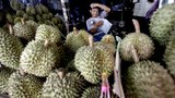 ชาวสวน-พ่อค้าทุเรียน ร้องรัฐแก้ปัญหาจีนตีกลับ-ทุเรียนราคาตก