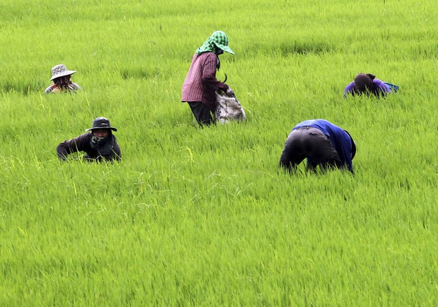 TH-farmers-debt-2.jpg