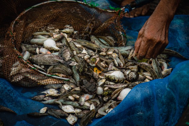 th-south-livelihood-6.JPG