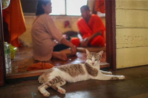 7-ss-drug-rehab.jpg