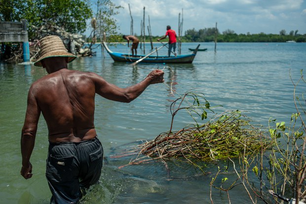 1-environment-seagrass.jpg