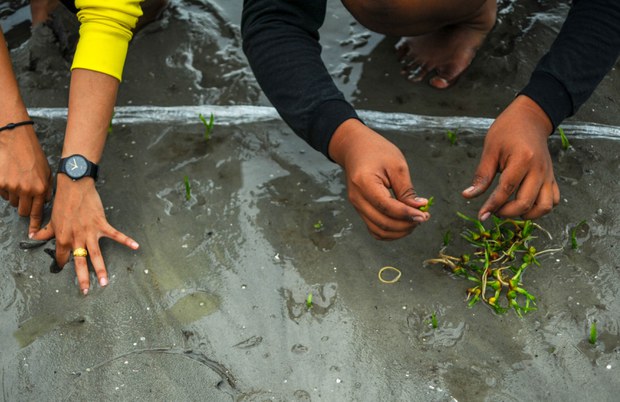 3-environment-seagrass.jpg