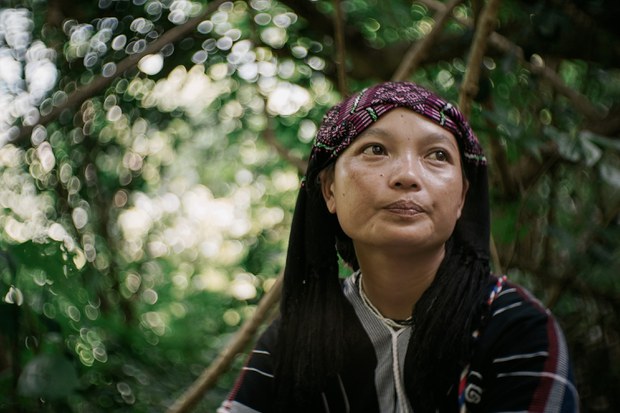 1 land-right-activists-black-forest.jpg
