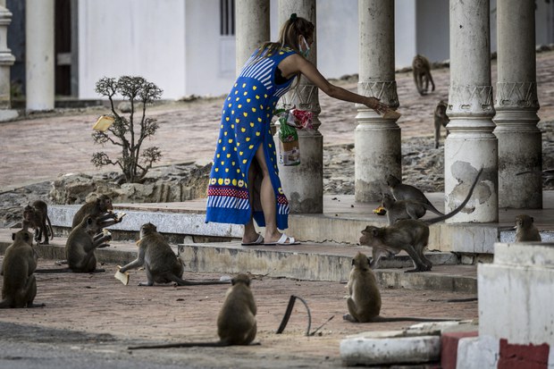 4-macaques-12.jpg