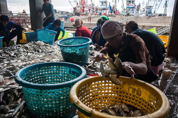 migrant-workers-fishery2.jpg