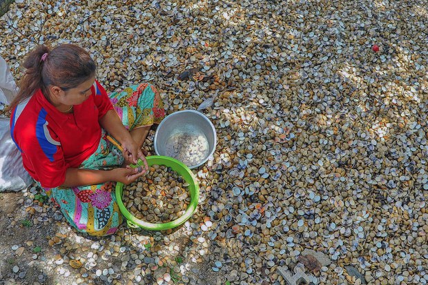 1-fisheries.jpg