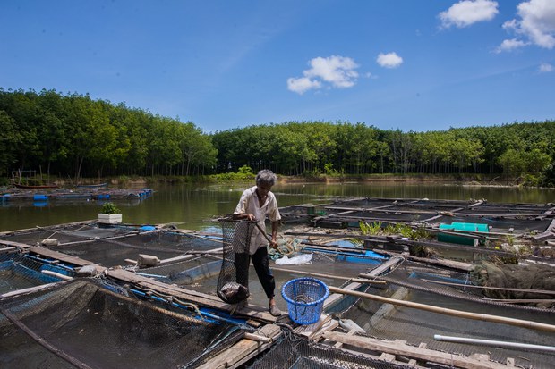15-fisheries.jpg