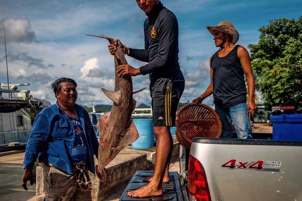 2-fisheries.jpg