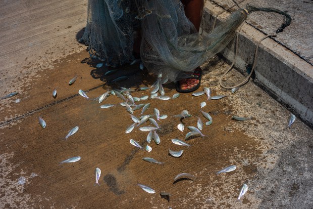 24-fisheries.jpg