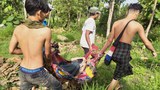 สหรัฐฯ หารือไทย เพื่อช่วยเหลือเมียนมาผ่านชายแดน