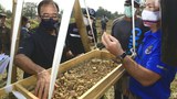 สหรัฐ-ไทยค้นหาร่องรอยนักบินสมัยสงครามโลกครั้งที่สองในลำปาง